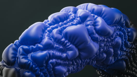 A close up of a blue brain model