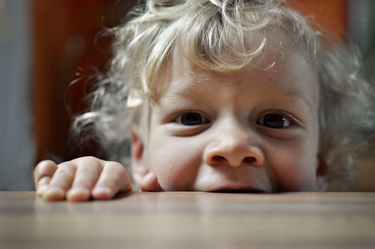 closeup photo of boy biting wood slab