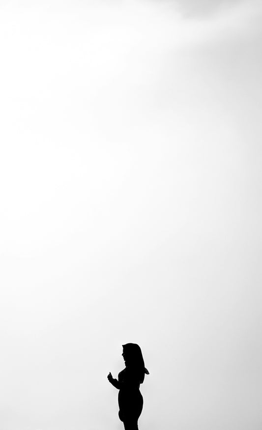 black bird on white background