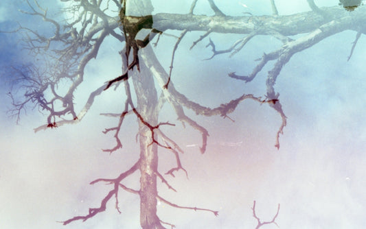 a group of people flying kites in the sky