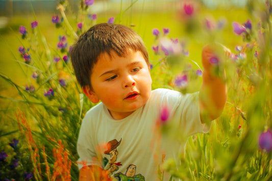 a boy in a field of flowers