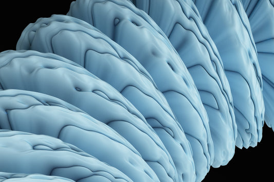 a close up of a bunch of blue objects