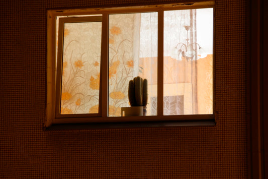 a window that has a vase in it