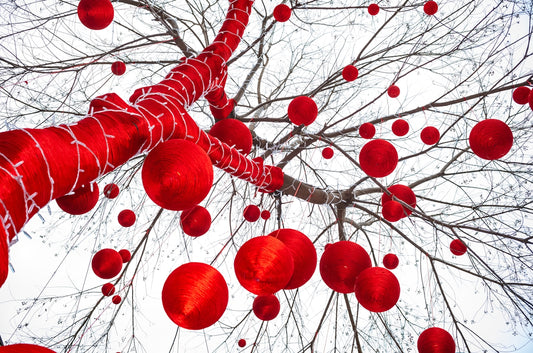 a bunch of red balls hanging from a tree