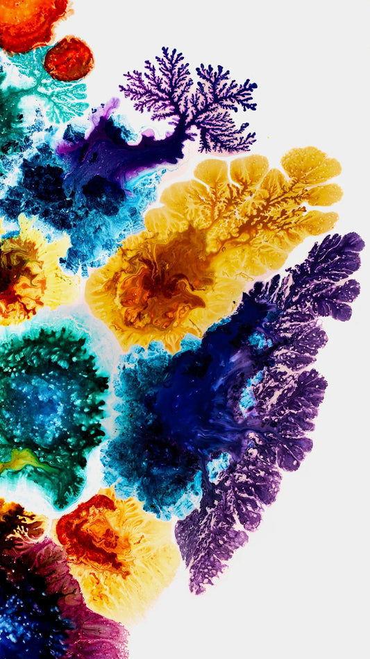 a group of different colored plants on a white surface