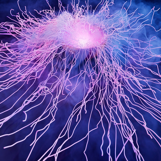 A close up of a cell phone with a blue background