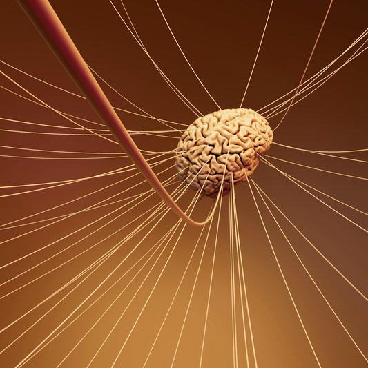A computer generated image of a human brain
