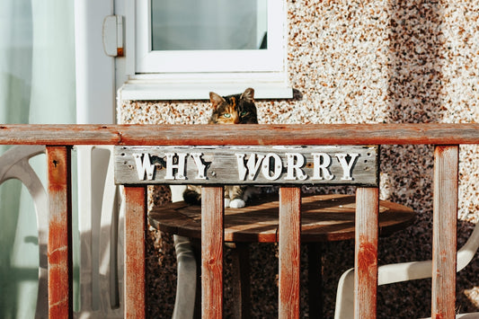A cat sitting on top of a wooden fence