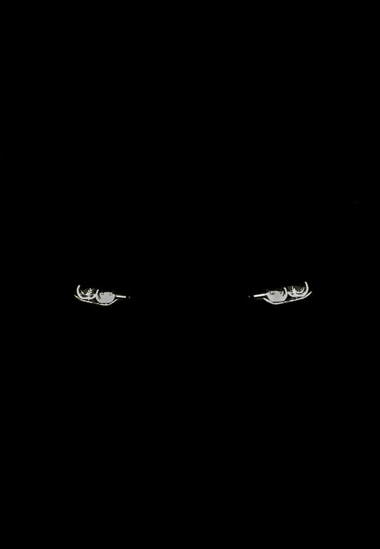 A cat's eyes are glowing in the dark