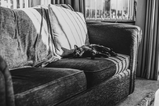 A black and white photo of a couch in a living room