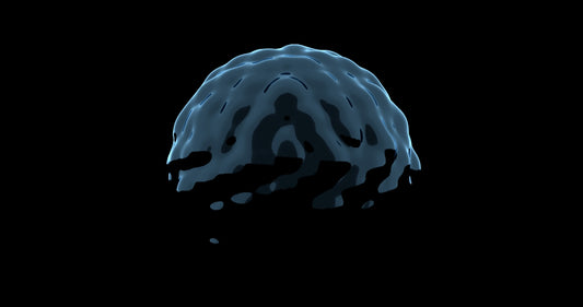 A black and white photo of a brain