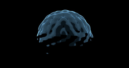 A black and white photo of a brain