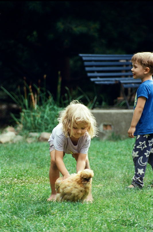 Two children playing with a chicken in a yard