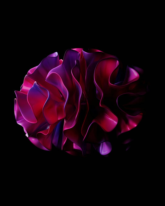 A black background with a red and purple flower