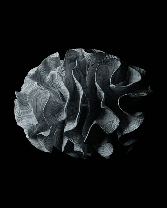 A black and white photo of a flower