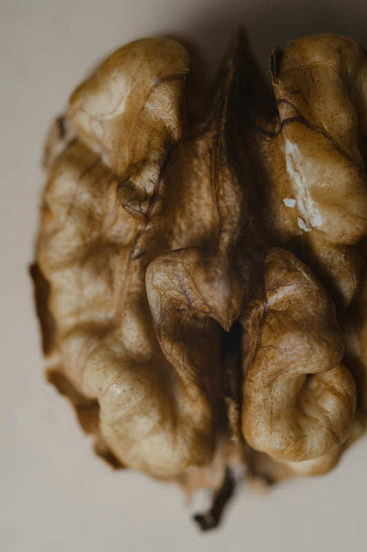 A close up of a walnut on a table