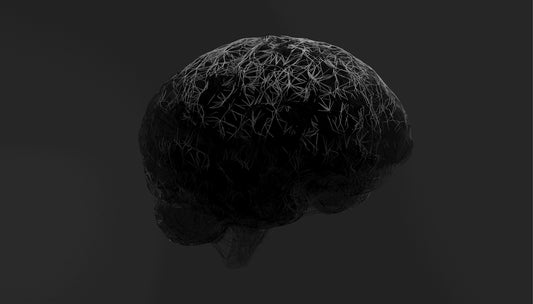 A black and white photo of a brain