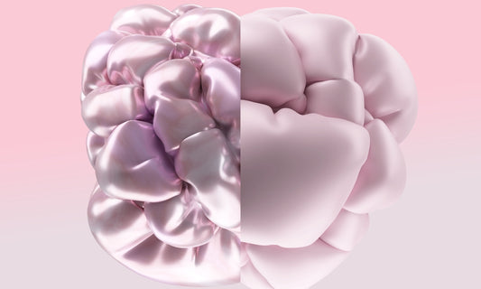 A pink and white flower on a pink background