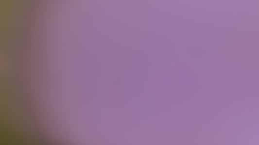 The image shows a gradient of purple and green.