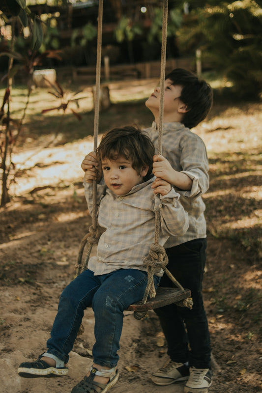 Two brothers play on a swing together outside.