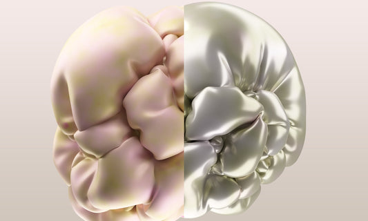 Two halves of a brain, one matte, one shiny.